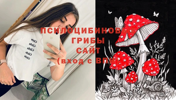мяу мяу кристалл Бородино