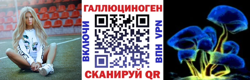 Псилоцибиновые грибы GOLDEN TEACHER  кракен зеркало  Кашин  как найти закладки 